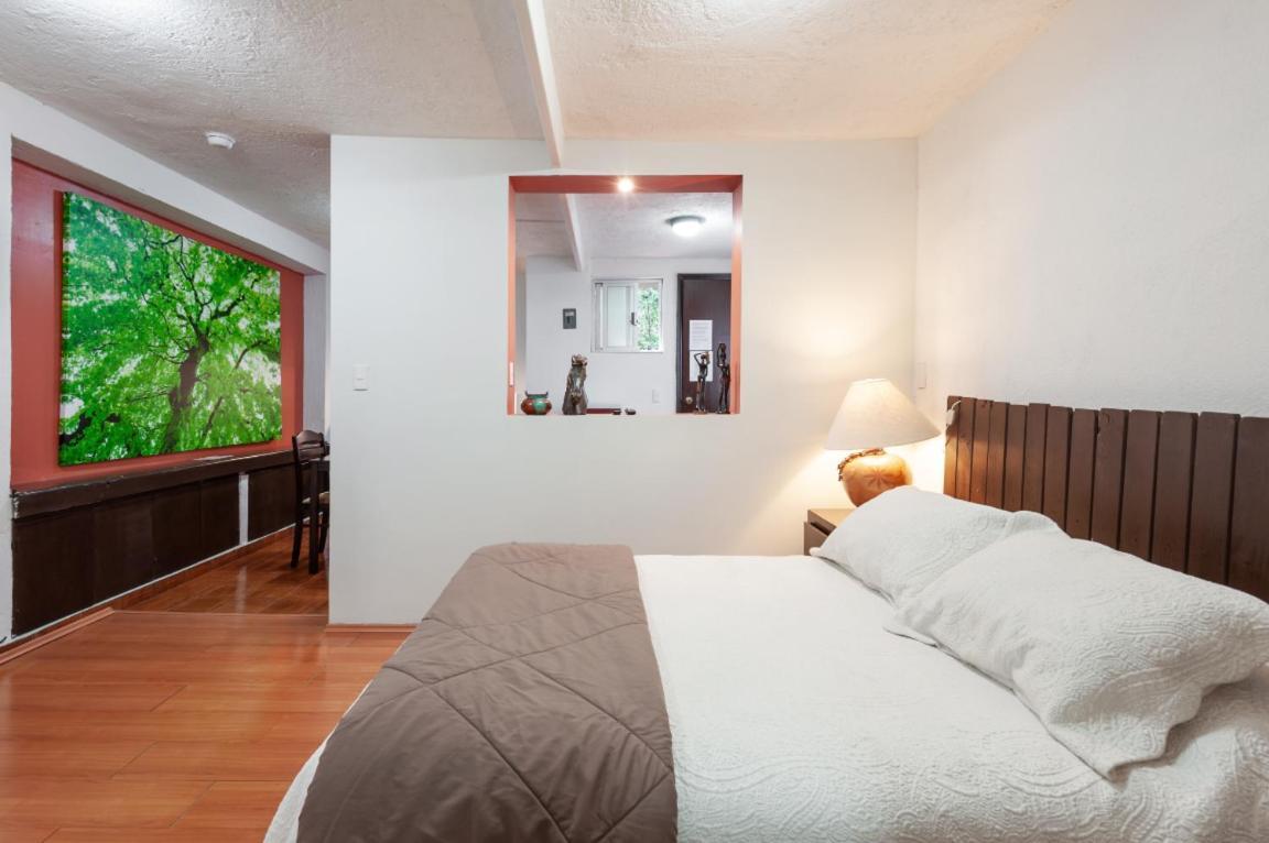 Suite 5A, Altavista, Garden House, Welcome To San Angel เม็กซิโกซิตี้ ภายนอก รูปภาพ