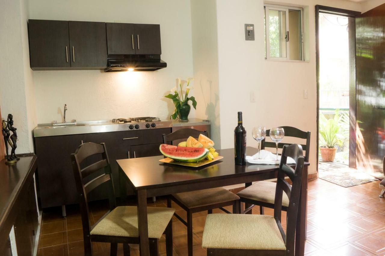 Suite 5A, Altavista, Garden House, Welcome To San Angel เม็กซิโกซิตี้ ภายนอก รูปภาพ
