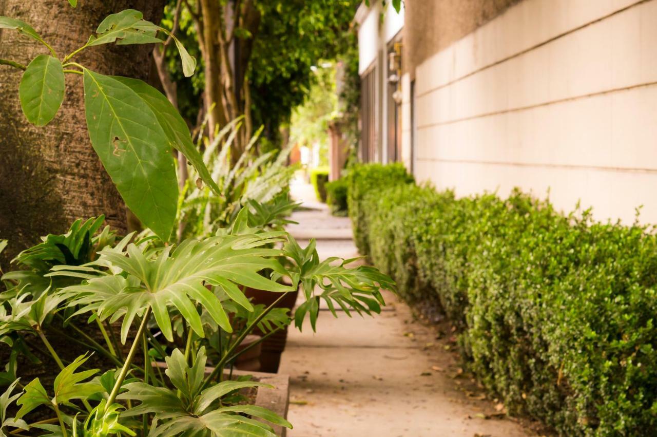 Suite 5A, Altavista, Garden House, Welcome To San Angel เม็กซิโกซิตี้ ภายนอก รูปภาพ